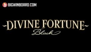 Wild Bandito ????????