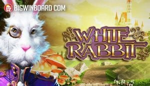 Plushie Frenzy ????????